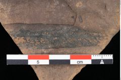 Foto (Detailansicht) von Rhytisma palaeomyricae Ettingshausen (NHMW-GEO-2024-0188-0087)